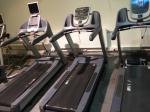 Beck ps PRECOR TRM C966i