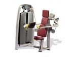 TECHNOGYM SELECTION DELTS MACHINE/stroj na ramena