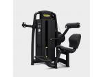 Technogym Lower Back