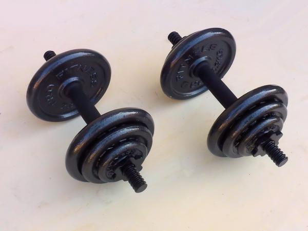 Jednoruky inky 2x10kg PRO FITNESS (NOV)