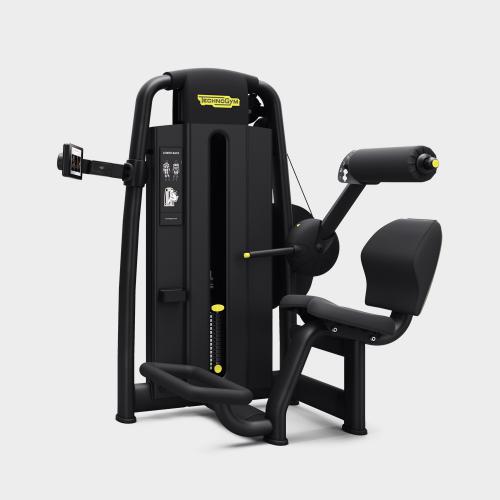 Technogym Lower Back