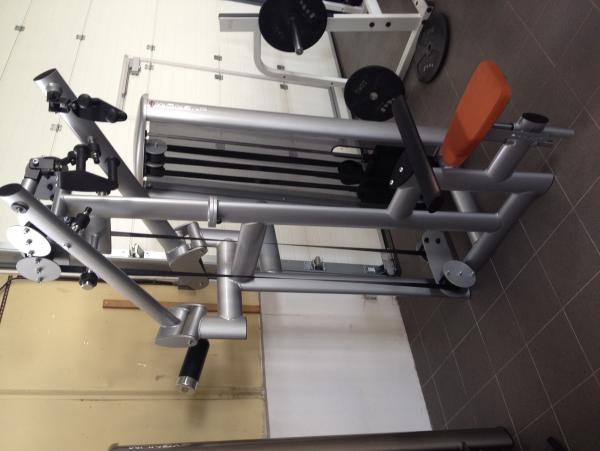 LAT PULLEY DUAL gym80