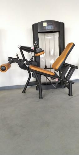 Seated Leg Curl selectorized fitness equipment with magnetic Pin.