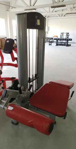 Prone Leg Curl with 80 KGS Steel Weight Stack Silver/ wine red